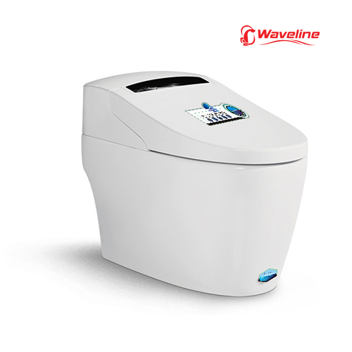 Intelligent Toilet